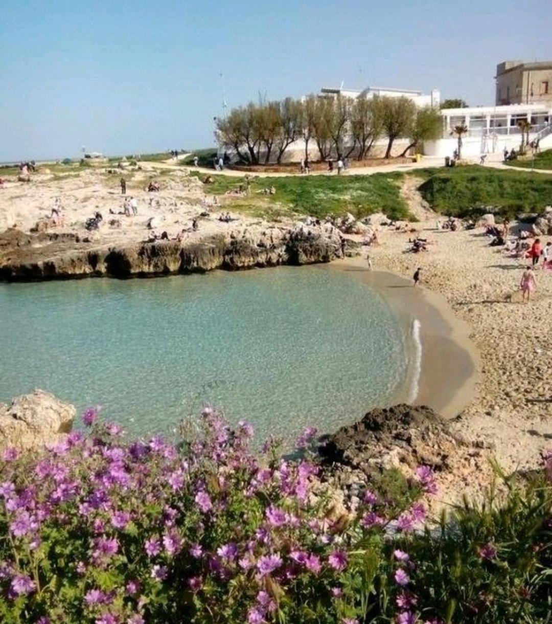 Da Luigi Locazioni Brevi Turistiche Bed & Breakfast Monopoli Dış mekan fotoğraf
